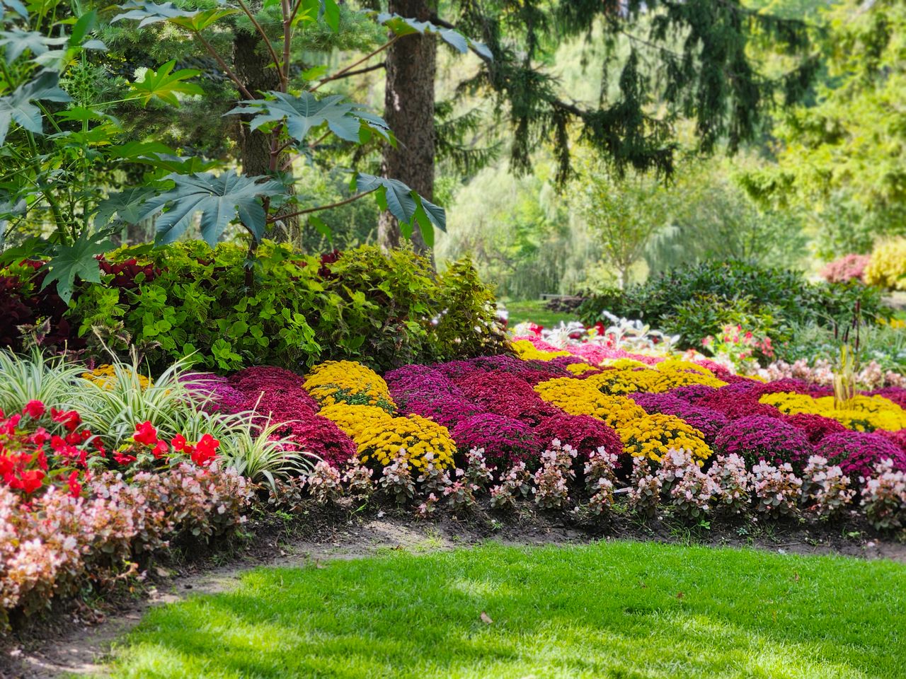 Mastering the First Impression: Your intriguing post title goes here Colorful garden with lush foliage and blooming flowers in a Toronto park.